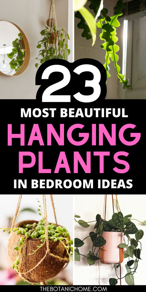 hanging plants in bedroom ideas. Bedroom Inspo Plants, Hanging Plants For Bedroom, Bathroom Hanging Plants, Aesthetic Bedroom Plants, Plants In Bedroom Ideas, Plant Aesthetic Bedroom, Air Cleaning House Plants, Hanging Plants Indoor Bedroom, Best Hanging Plants