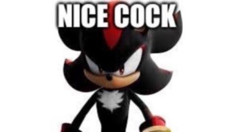 Haiiii :3, Funny Brainrot, Reaction Pic, Sonic Funny, Sonic Franchise, Goofy Pictures, Sonic And Shadow, Silly Images, Reaction Pics