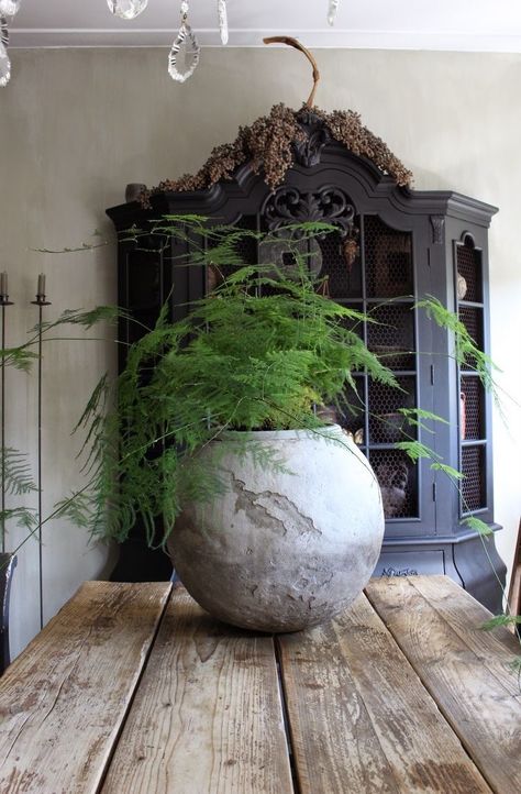 Moderne Have, Deco Nature, Interior Plants, Diy Planters, Decor Rustic, Plant Life, Indoor Garden, Plant Stand, Plant Decor