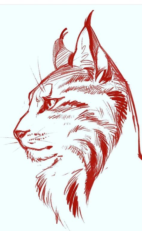 Tier Tattoo, Tattoo Zeichnungen, Animal Drawings Sketches, White Drawing, The Strokes, Character Sketches, Animal Sketches, Lynx, Art Inspiration Drawing