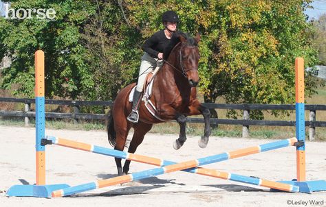 Riding Ideas, Horse Arena, Show Jumping Horses, Horse Exercises, Horse Riding Tips, English Horse, Horse Training Tips, Horse Gear, Horse Crazy