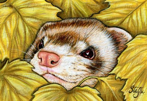 Ferret Wallpaper, Ferret Drawing, Paintings Nature, A Ferret, Hufflepuff Aesthetic, Pet Ferret, Wildlife Paintings, Christmas Shop, Amazing Drawings