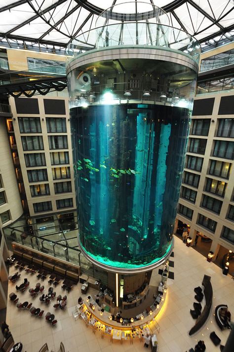 The Radisson Blu Hotel In Berlin, Germany may look like just another luxury hotel, however once you enter it, you will be blown away by the enormous 82-feet high aquarium in the heart of the hotel’s lobby atrium. Radisson Blu Hotel, Taipei 101, Radisson Hotel, Glass Aquarium, Radisson Blu, Living Modern, Hotel Lobby, Berlin Germany, Tropical Fish