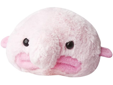 blob fish plushie Blob Fish Plush, Blob Fish Wallpaper, Blob Fish Cute, Ugliest Animal, Blob Fish, Ugly Animals, Xmas Wishlist, Cute Squishies, Xmas Wishes