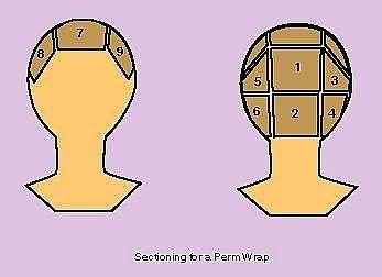 how to section for a 9 section perm Hair Sectioning, Section Hair, Color Castaño, Roller Set, Black Hair Care, Natural Hair Inspiration, Natural Hair Tips, Hair Crush, Relaxed Hair