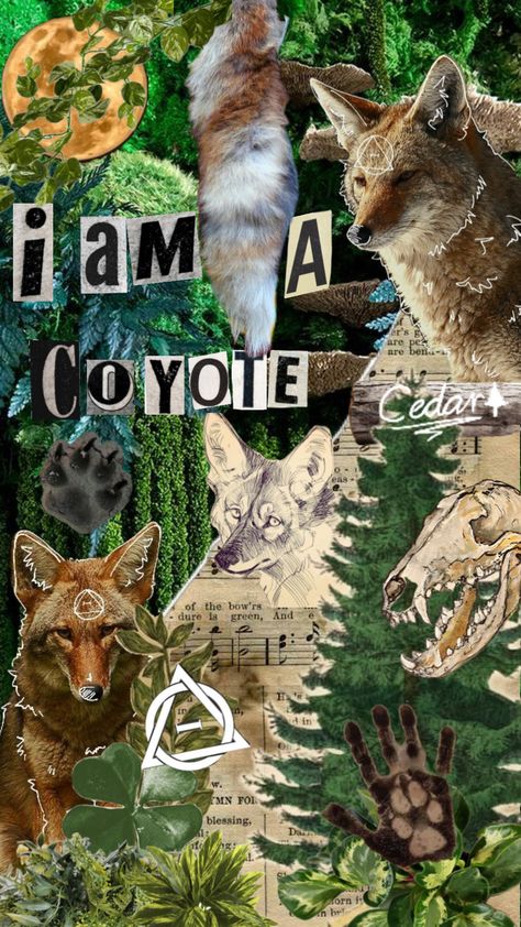 Made by me! Please dont repost but feel free to use as a wallpaper etc. #therian #alterhuman #theriotype #coyote #coyotetherian Coyote Therian, Coyote Tail, Fox Tail Keychain, Maybe In Another Life, Wolf Wallpaper, A N Wallpaper, Paws And Claws, A Wallpaper, In Another Life