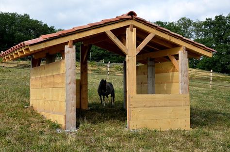 Mini Horse Barn, Pasture Shelter, Horse Shelters, Paddock Trail, Horse Shed, Horse Paddock, Horse Farm Ideas, Horse Barn Ideas Stables, Barn Stalls