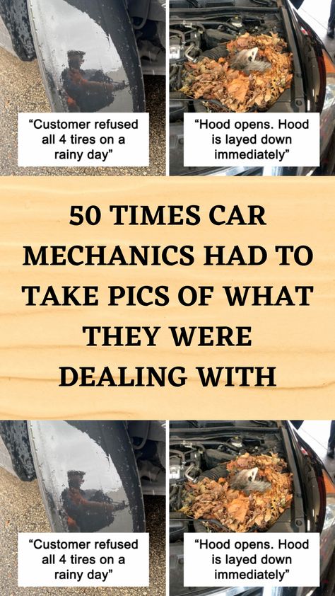 Mechanic Humor Funny, Science Memes Funny, Car Mechanics, The Mechanic, Mechanic Humor, Crush Love, Good Citizen, Car Sounds, Weird Cars