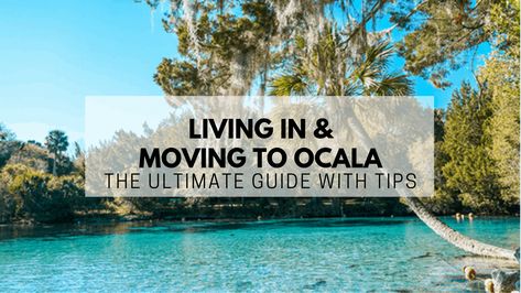 Ocala, FL | The (2021) Ultimate Living In & Moving to Guide Ocala Florida, Marion County, Florida City, Silver Springs, Lockheed Martin, Moving To Florida, Best Boats, Place To Live, Cost Of Living