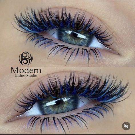 Eyelash Extensions Pictures, Eye Lash Design, Lash Extentions, Eyelash Technician, Cat Eye Lash, Lash Extensions Styles, Doll Eye Makeup, Perfect Eyelashes, Pretty Lashes