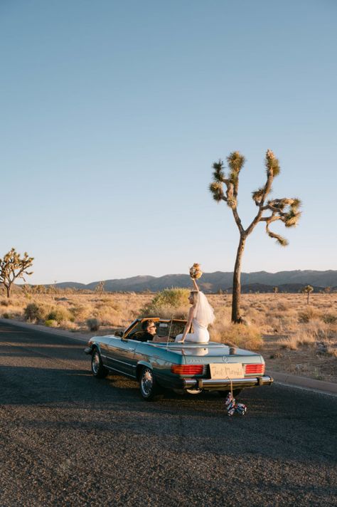 Joshua Tree Elopment, Joshua Tree Elopement Photography, Desert Shoot, Ace Hotel Palm Springs, Southwest Elopement, Desert Photoshoot, Funky Wedding, Joshua Tree Elopement, Joshua Tree Wedding