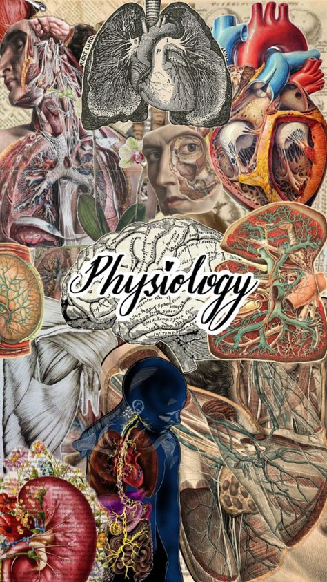 Physiology Wallpaper, Notes Cover Page, Physiology Notes, Book Cover Design Template, Notes Cover, Cover Page, Book Cover Design, Cover Pages, Cover Design