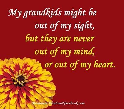 My Grandkids Pictures, Photos, and Images for Facebook, Tumblr ... Family Quotes Grandparents, Grandchildren Quotes, Grandkids Pictures, Grandson Quotes, Grandkids Quotes, Family Grandparents, Quotes About Grandchildren, Grandparents Quotes, Grandma Quotes