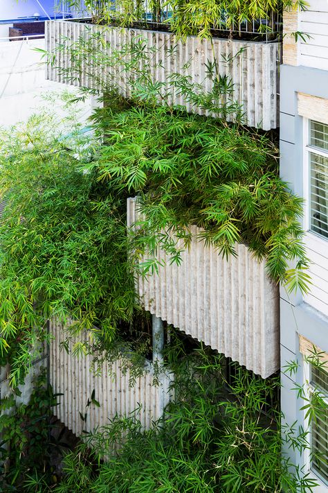 Bamboo House, Ho Chi Minh City, Vietnam, by Vo Trong Nghia Architects Vtn Architects, Green Building Architecture, House Green, Green Facade, Eco Architecture, Bamboo House, Exposed Concrete, Green Architecture, Green City