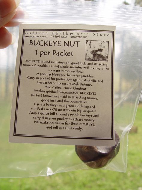 Buckeye Witchcraft, Spiritual Remedies, Money Oil, Buckeye Nut, Halloween Spell Book, Money Flow, Attracting Money, Halloween Spells, Money Spell