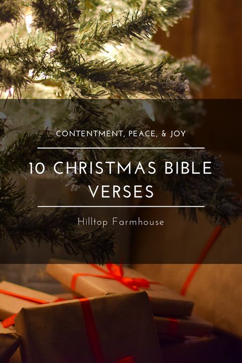 As Charlie Brown famously asks out of desperation..."Isn't anyone able to tell me what Christmas is all about?" The Bible has a very clear answer to that question. I've listed 10 verses that discuss points from the Christmas story as well as good reminders about contentment, joy, and peace. Christmas Psalms, Christmas Bible Verse Scriptures, Christmas Scripture Verses, Christmas Bible Quotes, Christmas Bible Verses Scriptures, Bible Verses For Christmas, Peace Quotes Bible, Verses About Joy, What Christmas Is All About