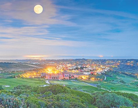 Sotogrande Spain, Rock Of Gibraltar, Europe Continent, Port Area, Olive Press, New Spain, Waterfront Restaurant, Topiary Trees, Days Of The Year