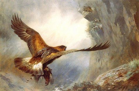 Archibald Thorburn, Raptor Bird Of Prey, Eagle Painting, Golden Eagles, Bird Paintings, Animal Guides, Eagle Art, Animal Artwork, Amazing Paintings