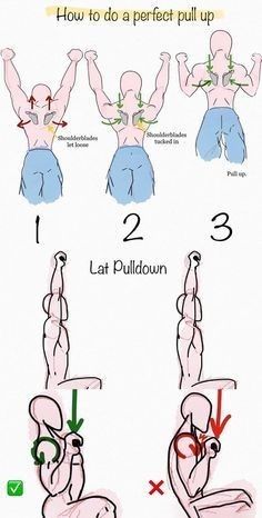 Fitness guide Lay Pull Down, How To Do Pull Ups, How To Do A Pull Up, Planning Sport, Fighter Workout, Strength Training For Beginners, Fitness Guide, Full Body Workout Routine, Gym Workout Chart