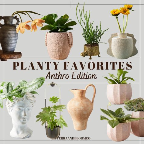 Love To Shop, Retail Therapy, The Creator, Plants, 10 Things, Home Decor, Home Décor