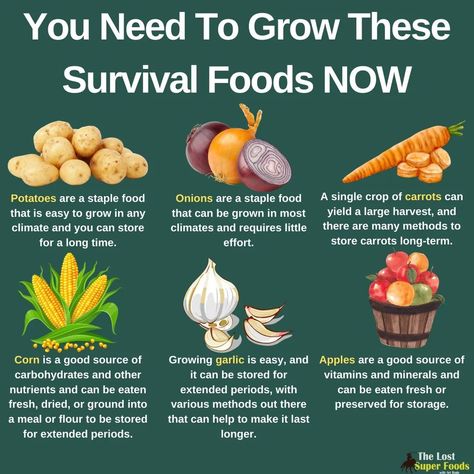 Survival Foods, Camping Bushcraft, Growing Garlic, Vegetable Garden Planning, Survival Gardening, Growing Potatoes, Super Foods, Survival Camping, Veg Garden