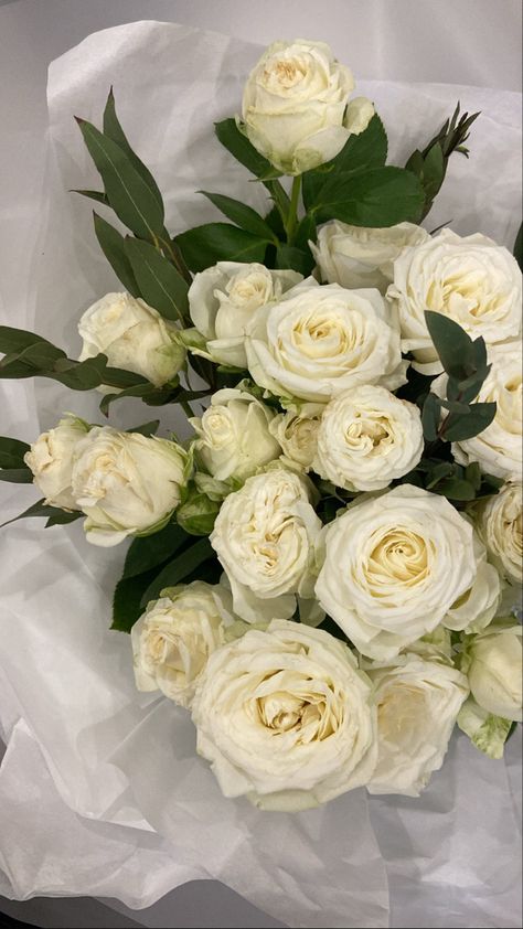 Cabbage Rose Bouquet, White Roses Bouquet, Bouquet Rose, Instagram Flowers, Cabbage Rose, Roses Bouquet, Cabbage Roses, Rose Bouquet, White Roses