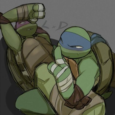 Mikey X Raph, Leo X Donnie, 2012 Tmnt, Tmnt Rise, Tmnt Characters, Leonardo Tmnt, Teenage Mutant Ninja Turtles Artwork, Ninja Turtles Artwork, Teenage Mutant Ninja Turtles Art