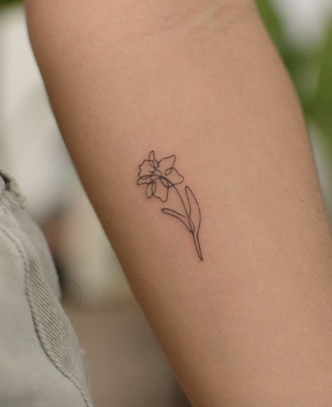 Daffodil Jonquil Tattoo, Daffodil And Narcissus Tattoo, Tiny Daffodil Tattoo, Daffodil Fine Line Tattoo, Daffodil Bouquet Tattoo, Small Daffodil Tattoo, Fine Line Daffodil Tattoo, Simple Daffodil Tattoo, Dainty Daffodil Tattoo