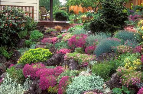 Transforming a dull slope into a beautiful rock garden is easy when you chose the right plants. Here, a colorful selection of Dianthus (Pink), Phlox subulata (Creeping Phlox), Aubrietia (Rock Cress), Euphorbia (Spurge), Stachys byzantina (Lamb's Ears), and Helianthemum (Rock Rose) create an eye-catching display. Landscaping Rock, Landscaping On A Hill, Creeping Phlox, Alpine Garden, Rock Garden Design, Rock Landscaping, Hillside Landscaping, Alpine Plants, Sloped Garden