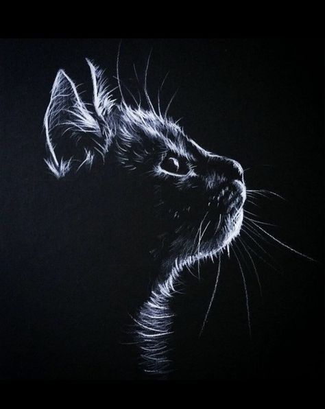 White Pencil On Black Paper, Pencil On Black Paper, Scratchboard Art, Graphite Art, Pencil Drawing Tutorials, Black Paper Drawing, Scratch Art, Cats Drawing, White Drawing