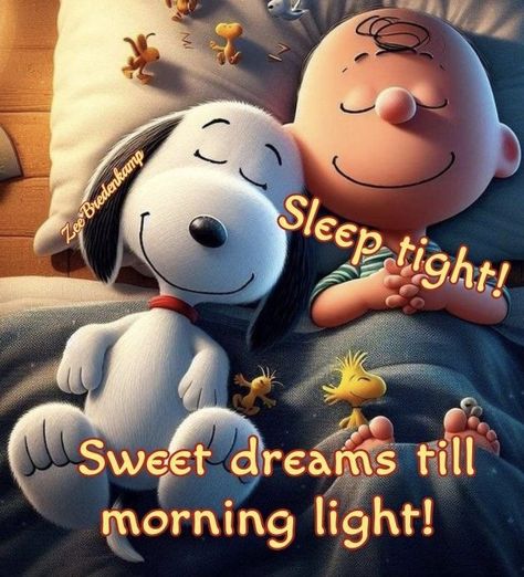 Funny Good Night Pictures, Months Quotes, Snoopy Videos, Bedtime Affirmations, Funny Good Night Images, Goodnight Snoopy, Goodnight Images, Good Night Hug, Evening Blessings