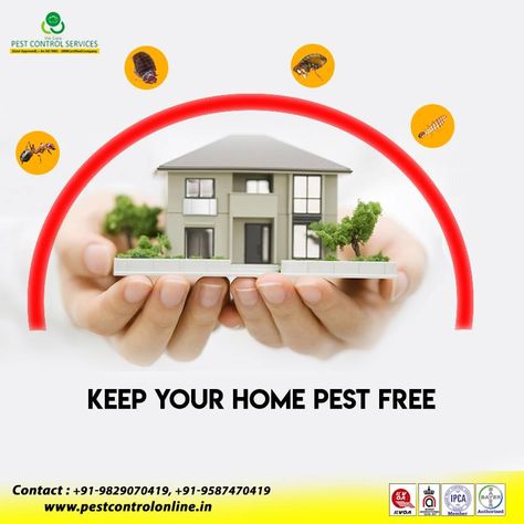 Pest Control Services Poster, Pest Control Ads, Fumigation Services, Andaman Nicobar, Integrated Pest Management, Pinterest Download, Household Pests, Best Pest Control, Mosquito Control