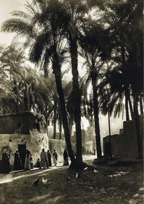 Deir Mouas village in Upper Egypt 1929 Egyptian Village, Egyptian Streets, Desert Cities, Egypt Vintage, Upper Egypt, Arabian Art, Arab Culture, Old Egypt, Village Shop