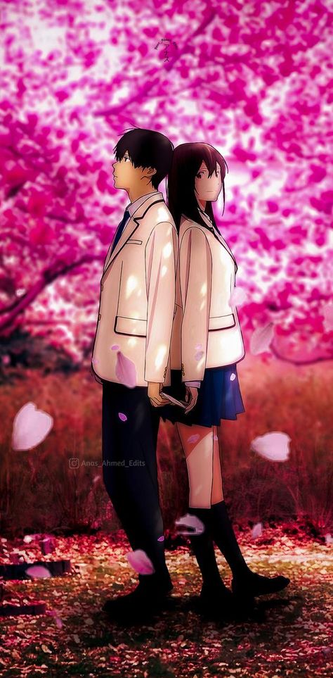 Sakura And Haruki Wallpaper, Sakura Wallpaper, Cute Anime Wallpaper, Suits You, Anime Wallpaper, Winter Jackets, Wallpapers, Anime