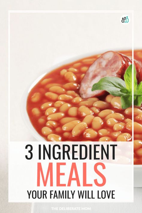 Delicious and affordable meals that require 3 ingredients or less?! It's true and these recipes are what my family has been living on (and loving) lately. These recipes are perfect for emergency meals and menus! Check it out! Quick 3 Ingredients Dinner, 3 Ingredient Lunch Ideas, 3 Ingredient Dinners Easy, 5 Ingredients Or Less Recipes, 3 Ingredient Recipes Dinner, 3 Ingredient Meals, 5 Ingredient Or Less Recipes, Emergency Meals, Survival Recipes