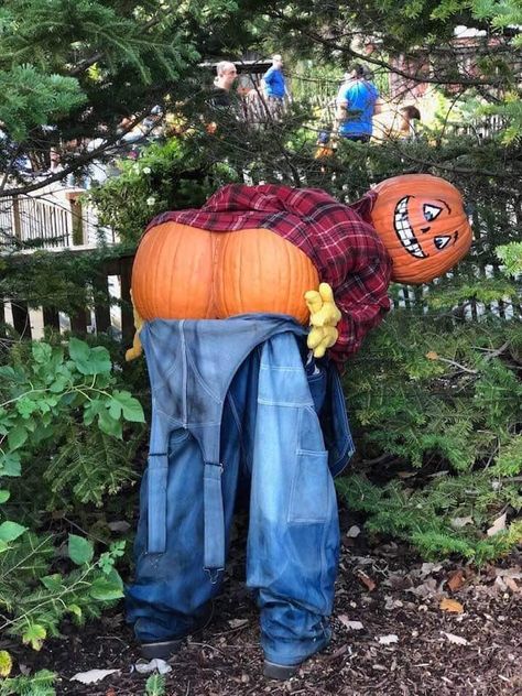 Halloween! Scarecrow Ideas For Contest School, Cowboy Scarecrow, Garden Scarecrow, Scarecrow Ideas, Wedding Table Layouts, Pumpkin People, Scarecrows For Garden, Pumpkin Man, Scary Funny