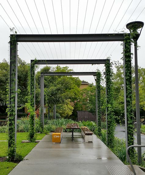 Foley Rest Park, cable trellis | Tensile Design & Construct Cable Trellis, Cheap Pergola, Pergola Swing, Green Facade, Modern Pergola, Metal Pergola, Casa Country, Garden Vines, Wooden Pergola