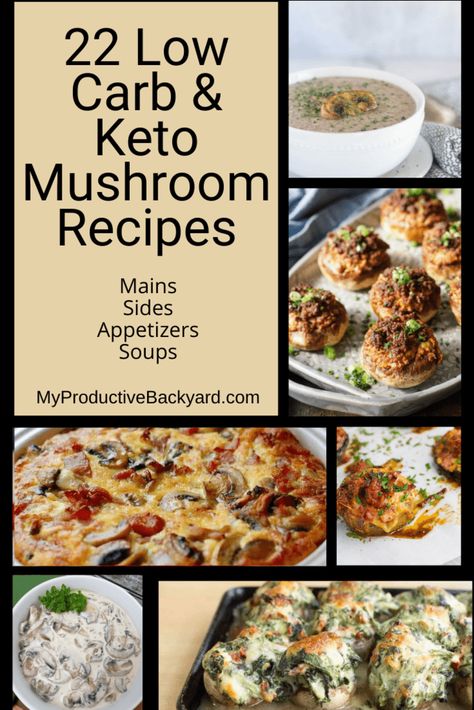 22 Low Carb Keto Mushroom Recipes; As a Main Dish or Side, Mushrooms are a Great Addition to a Healthy Diet! Keto Mushroom Recipes, Cooking Crab, Keto Mushrooms, Mushroom Breakfast, High Fat Low Carb Recipes, Dairy Free Low Carb, Cheese Stuffed Mushrooms, Freezer Meal Prep, Vegetable Side Dishes Recipes