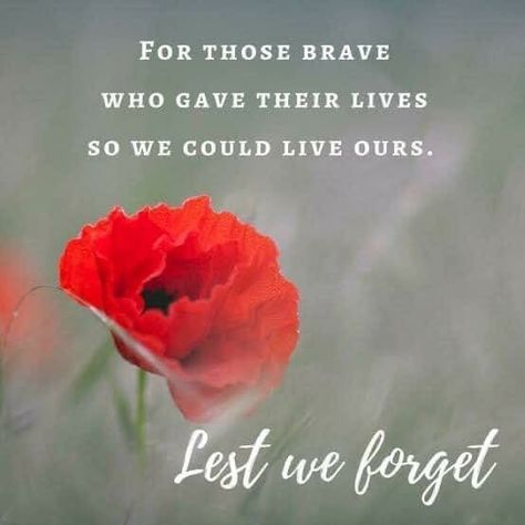 Anzac Day Quotes, Remembrance Day Quotes, Lest We Forget Anzac, Anzac Day Australia, Remembrance Day Art, Remembrance Day Poppy, Funny Cartoon Pictures, Anzac Day, Lest We Forget