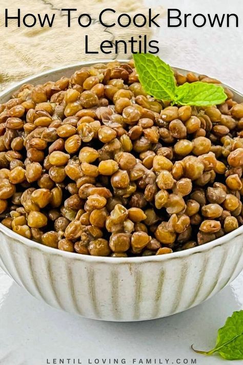 Brown lentils in a white bowl. Leftover Lentils, Vegan Lentil Recipes, Vegetarian Patty, Cooked Lentils, How To Cook Lentils, Canned Lentils, Lentils Beans, Dried Lentils, Brown Lentils