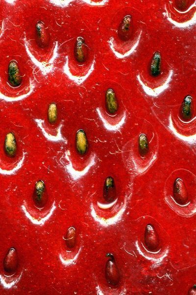 Strawberry Stuff, Dream Food, Strawberry Fields Forever, Simply Red, Still Life Fruit, Fruit Photography, Fruit Flowers, Fruit Painting, Strawberry Fields