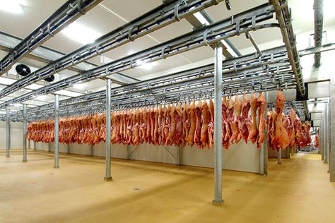 Meat Butcher, Warehouse Project, Sound Science, Vegetables Food, Bakery Products, Cold Room, Farm Design, Processed Meat, Fresh Meat