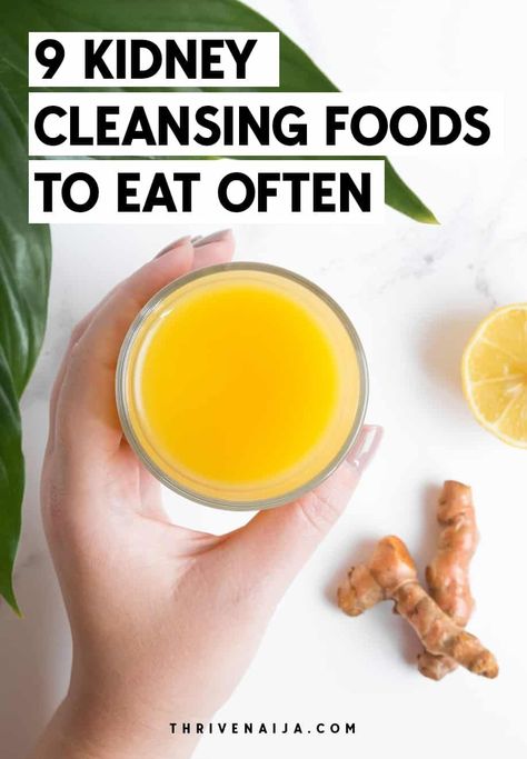 9 Kidney Cleansing Foods For Optimum Kidney Function Kidney Stone Diet, Cleansing Foods, Kidney Healthy Foods, Kidney Diet Recipes, Kidney Friendly Recipes Renal Diet, Food For Kidney Health, Healthy Kidney Diet, Improve Kidney Function, Kidney Detox