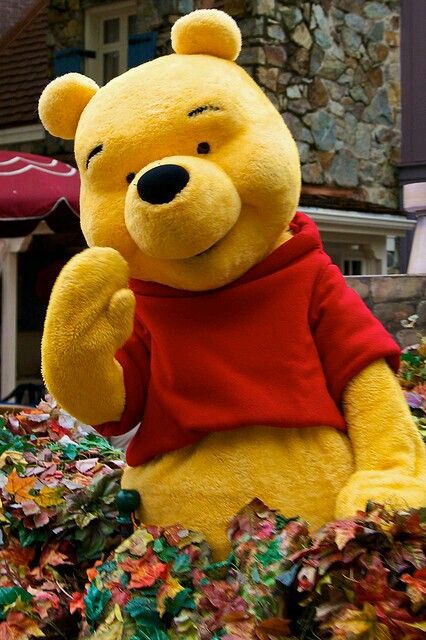 ^﹏^ Disney Videos, Winnie The Pooh Pictures, Disney World Characters, Winnie The Pooh Quotes, Winnie The Pooh Friends, Pooh Quotes, Christopher Robin, Disney Photos, Tokyo Disneyland