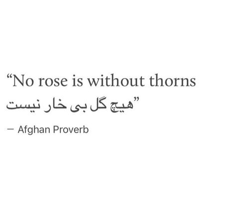 Farsi Tattoo, Arabic Quotes With Translation, Rose Quotes, Meaningful Tattoo Quotes, Arabic Quote, Arabic Tattoo Quotes, Farsi Quotes, Persian Quotes, Arabic Tattoo