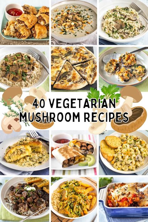 40 Vegetarian Mushroom Recipes - A collection of 40 of my favourite mushroom recipes, including casseroles, pastas, stews, and more! #mushrooms #vegetarian #vegetarianrecipes #mushroomrecipes Budget Vegetarian Recipes, Healthy Mushroom Recipes, Vegetarian Mushroom Recipes, Fried Mushroom Recipes, Aakanksha Singh, Mushroom Recipes Vegan, Easy Mushroom Recipes, Vegetarian Tacos Recipes, Cheese Pizza Recipe