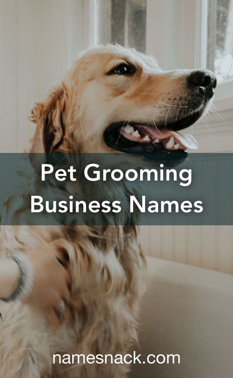 Dog Grooming Names Ideas, Dog Grooming Business Names, Grooming Salon Names, Grooming Salon Ideas Design, Pet Grooming Logo, Cute Business Names, Grooming Design, Dog Grooming Salon Decor, Pet Grooming Shop