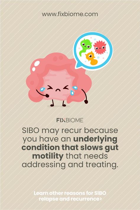 SIBO may recur because you have an underlying condition that slows gut motility that needs addressing and treating. Gut Motility, Small Intestine Bacterial Overgrowth, Gut Healing, Leaky Gut, Low Fodmap, Family Health, I Need To Know, Digestive Health, Gut Health