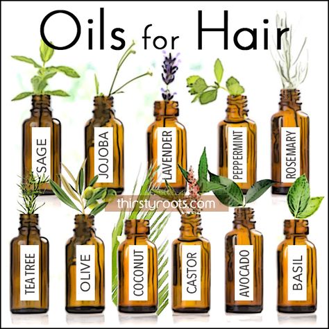 Oils for African American Hair and Scalp Care that Promotes Healthy Hair African American Hair Growth, Oils For Hair, African American Hair, Die Sims 4, Shaved Hair Designs, Natural African American Hairstyles, African American Braids, Essential Oils For Hair, Healthy Hair Tips