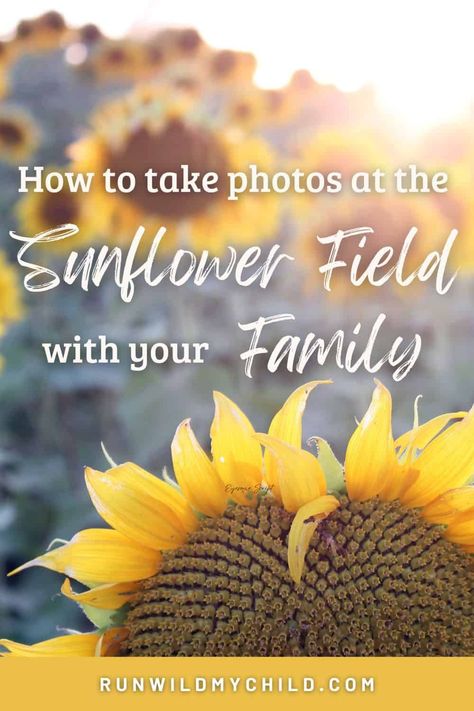 How to take amazing family photos at the sunflower fields. Everything you need to know, from when to go, where to find sunflowers, what to pack/wear, and photography tips. #sunflowers #sunflowerfields #sunflowerphotos #sunflowerswithkids #familyphotos #familypictures #photography Outdoor Family Photos, Family Photo Pose, Location Inspiration, Sunflower Field, Outdoor Activities For Kids, The Sunflower, Outdoor Inspirations, Sunflower Fields, Family Photo Sessions